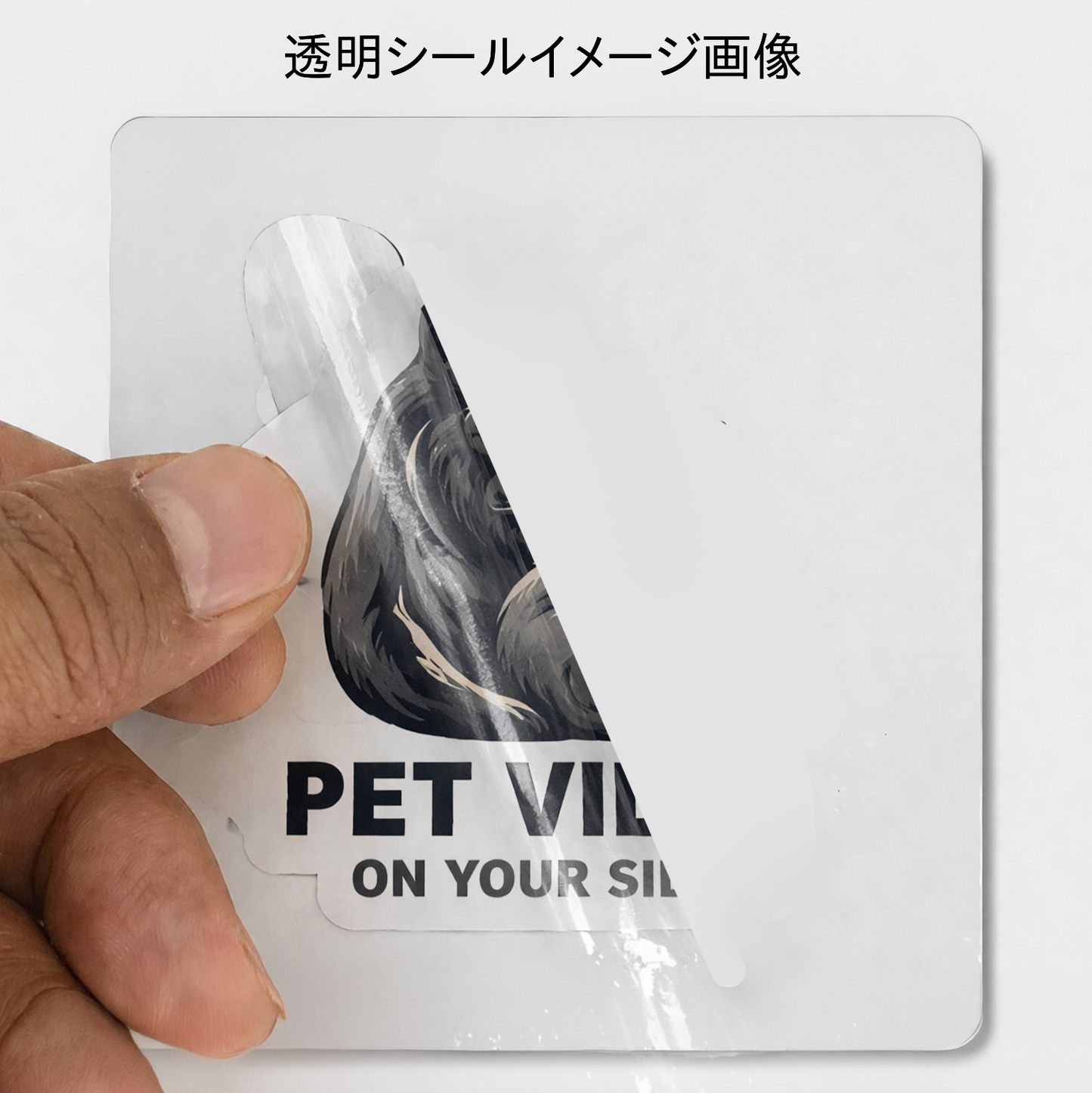 ナナフシギクリアロゴステッカー